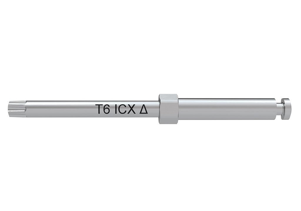 Screwdriver, ISO Shank, T6, ICX, Δ L=30 mm