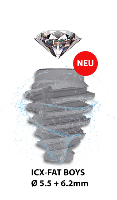 ICX-Diamond Premium / Active Master BL/TL + FAT BOYS – Einzel & Set