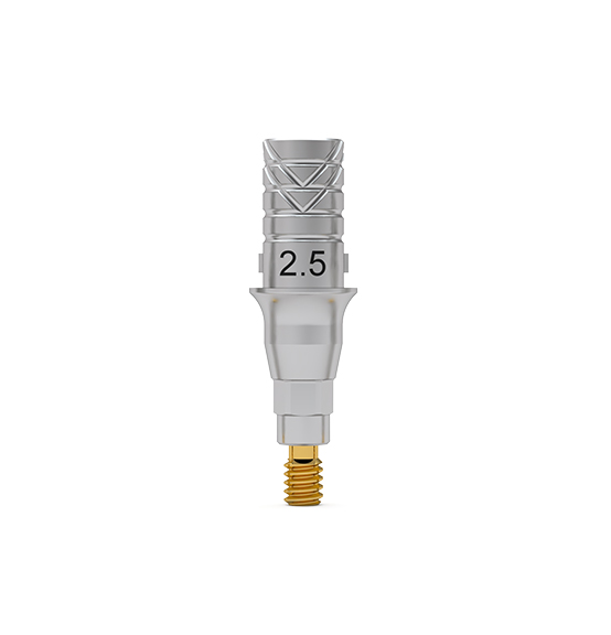 ICX-Flex-Klebebasis, Standard