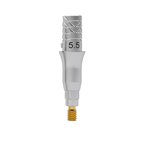 ICX-Flex-Klebebasis, Standard