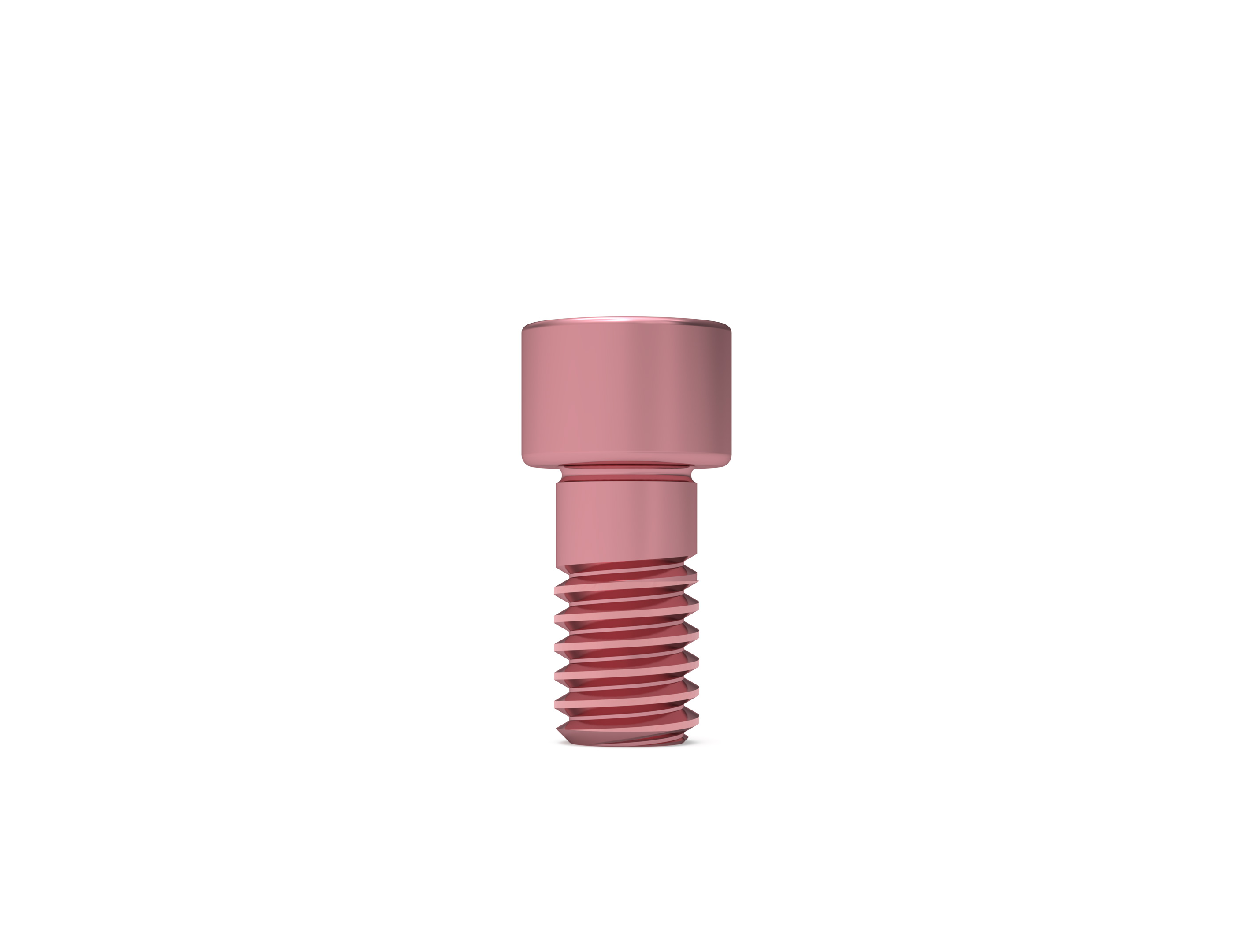 ICX-Ceramo Multi Keramikschraube