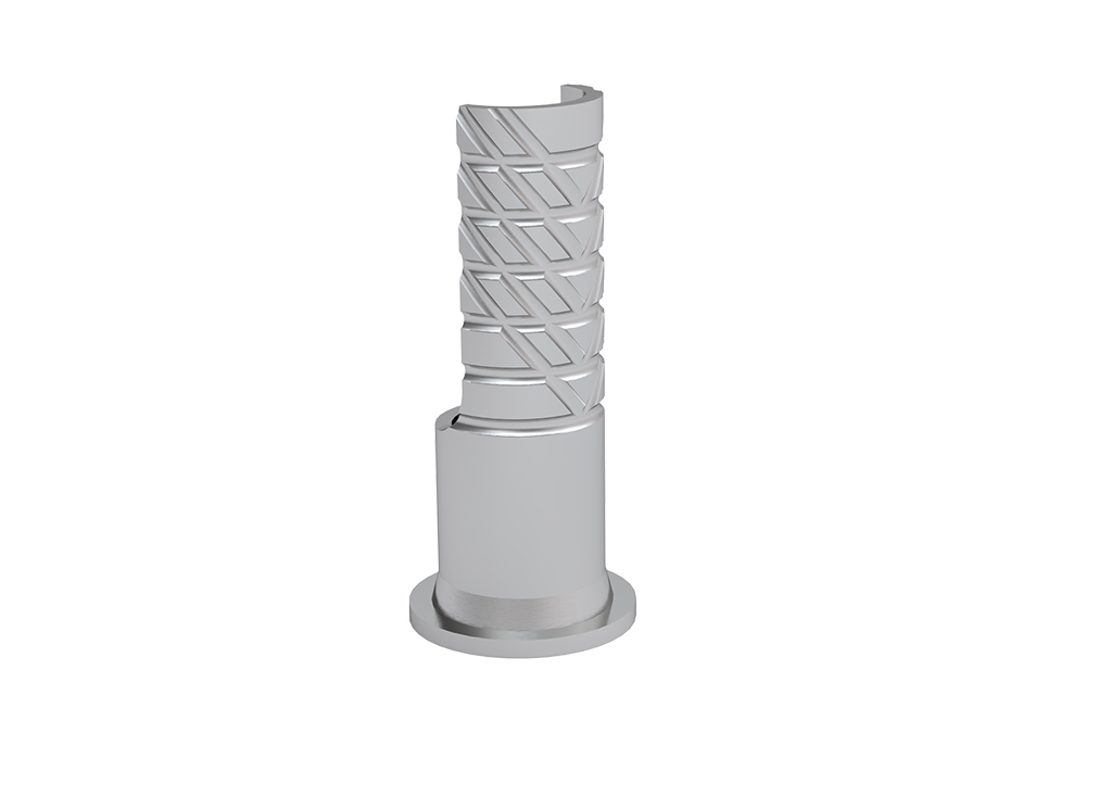 ICX-Ceramo Multi Flex Prothetikaufbau (Titan)