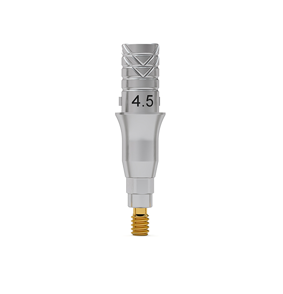 ICX-Flex-Klebebasis, Standard