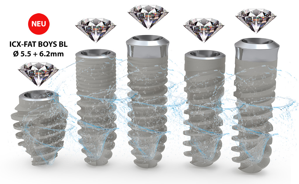 ICX-Diamond Premium / Active Master / FAT BOYS / TUBER / Single & Set – BL/TL